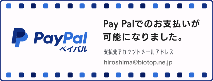 PayPalでのお支払いが可能になりました