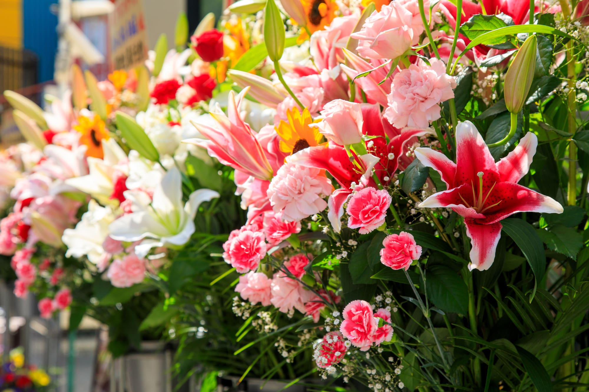 公演祝い お届けタイミング